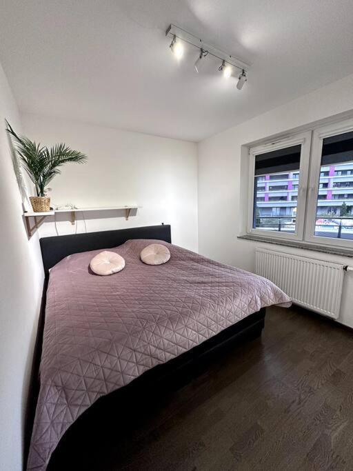 Nice New Apart Dawida Street - Wroclaw — Photos 1